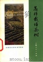 怎样栽培茶树   1973  PDF电子版封面  16171·81  《怎样栽培茶树》编写组编 