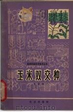 玉米双交种 1965 PDF电子版封面 16071·71 李竞雄编