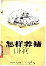 怎样养猪 1960 PDF电子版封面 16051·94 蒋英著