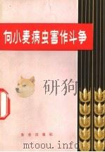 向小麦病虫害作斗争 1974 PDF电子版封面 16144·1678 中国农业科学院植物保护研究所编
