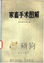 家畜手术图解 1976 PDF电子版封面 16144·1755 西北农学院编