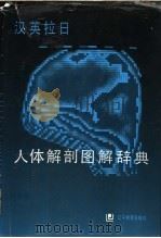 汉英拉日人体解剖图解辞典 1992 PDF电子版封面 7538216634 刘元健,张之生主编