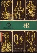 根 1979 PDF电子版封面 7150·2087 张国佩著