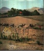 中国沙漠治理图片集 1977 PDF电子版封面 13031·641 中国科学院兰卅冰川冻土沙漠研究所沙漠研究室摄