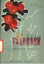 苹果整形修剪图解（1977 PDF版）