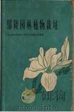 鄢陵园林植物栽培 1960 PDF电子版封面 16144·855 北京林学院城市及居民区绿化系编著