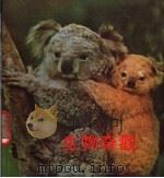生物奇观 1979 PDF电子版封面 殷丽编著