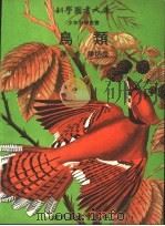 鸟类 1971 PDF电子版封面 陈炳煌译