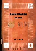 山东农林主要病虫图谱 玉米、地瓜分册 1978 PDF电子版封面 16099·55 《山东农林主要病虫图谱》编绘组编