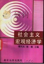 社会主义宏观经济学 1991 PDF电子版封面 7305012068 缪凤英,祖强主编