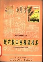 矮六棱大麦栽培技术 1966 PDF电子版封面 16071·82 北京市科学技术协编