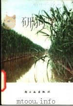 芦苇 1978 PDF电子版封面 15042·1430 《芦苇》编写组编著
