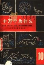 十万个为什么 10 1962 PDF电子版封面 R10024·3059 伍律等编著