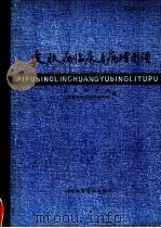 皮肤病临床与病理图谱 1984 PDF电子版封面 14195·138 山东医学院,山东省皮肤病防治研究所编