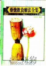 药炖饮食疗法全集 1992 PDF电子版封面 胡海天著