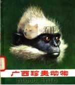广西珍贵动物 1981 PDF电子版封面 13113·24 申兰田,李汉华编著