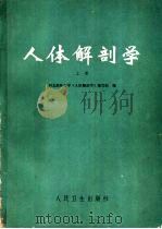 人体解剖学 上 1977 PDF电子版封面 14048·35501 河北新医大学《人体解剖学》编写组编