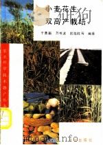 小麦花生双高产栽培 1993 PDF电子版封面 7109026620 于善新等编著