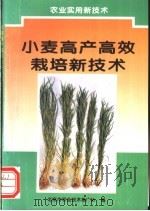 小麦高产高效栽培新技术 1996 PDF电子版封面 7116019472 朱志方主编;王俊英,路根喜,王立平,侯福强编著;北京市农业技