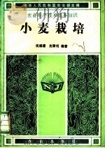 小麦栽培 1982 PDF电子版封面 16144·2446 沈煜清,沈黎明编著