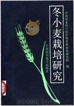 冬小麦栽培研究 1992 PDF电子版封面 7504606472 中国农业科学院作物育种栽培研究所编