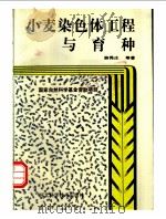 小麦染色体工程与育种 1993 PDF电子版封面 753750962X 薛秀庄等著