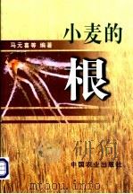 小麦的根 1999 PDF电子版封面 7109057984 马元喜等编著