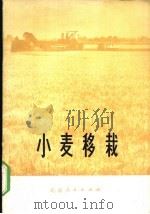 小麦移栽 1975 PDF电子版封面 16071·9 王世之等编著