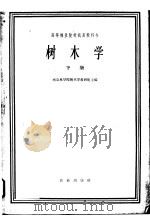 高等林业院校试用教科书 树木学 下 林业、绿化、森林保护等专业用 1964 PDF电子版封面 K16144·1370 南京林学院树木学教研组主编