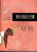 种好水稻的几个关键 1965 PDF电子版封面 7150·1700 崔寿柏编