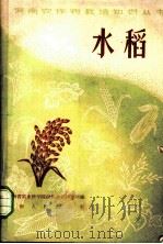 水稻 1965 PDF电子版封面 T16105·273 河南省农业科学院信阳水稻研究所编