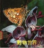 动物的世界 1 1971 PDF电子版封面 列丁编著