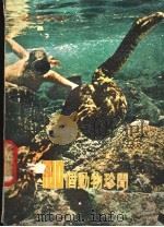 100个动物珍闻（1978 PDF版）
