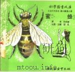 蜜蜂 1975 PDF电子版封面 刘拓主编