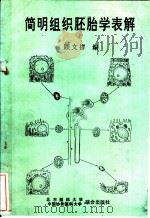 简明组织胚胎学表解 1993 PDF电子版封面 7810342339 顾文祥编著
