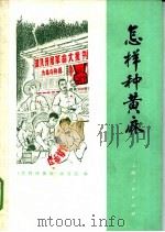 怎样种黄麻 1971 PDF电子版封面 16·4·195 《怎样种黄麻》编写组编