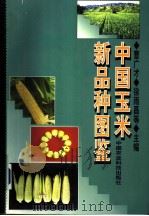中国玉米新品种图鉴 1999 PDF电子版封面 7801197321 曹广才,徐雨昌等主编