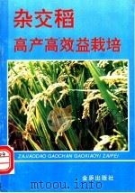 杂交稻高产高效益栽培 1995 PDF电子版封面 7508200950 费槐林,胡国文主编;王德仁等编著
