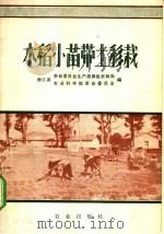 水稻小苗带土移栽 1971 PDF电子版封面 16144·1587 浙江省革命委员会生产指挥组农林局,浙江省农业科学院革命委员会