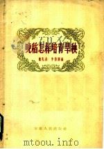 晚稻怎样培育旱秧 1958 PDF电子版封面 T16102·89 魏礼余,李信辉编