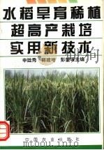 水稻旱育稀植超高产栽培实用新技术 1995 PDF电子版封面 7109041344 申廷秀等主编