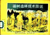 植树造林技术图说 1985 PDF电子版封面 16046·1263 中国林学会主编;宋朝框编