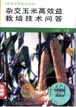 杂交玉米高效益栽培技术问答 1995 PDF电子版封面 7110039781 吴景锋主编
