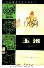 玉米 1983 PDF电子版封面 16051·1015 王在德著