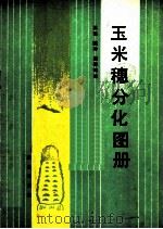 玉米穗分化图册 1986 PDF电子版封面 16144·3180 王瑛,陈冲,尉德铭编