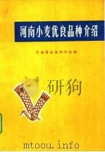 河南小麦优良品种介绍 1972 PDF电子版封面 16105·1 河南省农林科学院编
