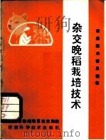 农业技术普及读物 杂交晚稻栽培技术 修订本 1982 PDF电子版封面 16204·78 湖南省郴州地区农业局编