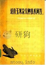 培育玉米杂交技术问答 1958 PDF电子版封面 T16086·81 河北省农业科学研究所编