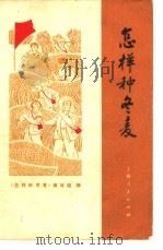 怎样种冬麦 1971 PDF电子版封面 16·4·125 《怎样种冬麦》编写组