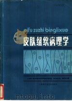 皮肤组织病理学   1981  PDF电子版封面  14119·1448  上海第一医学院皮肤病学教研组病理室，邱丙森主编 